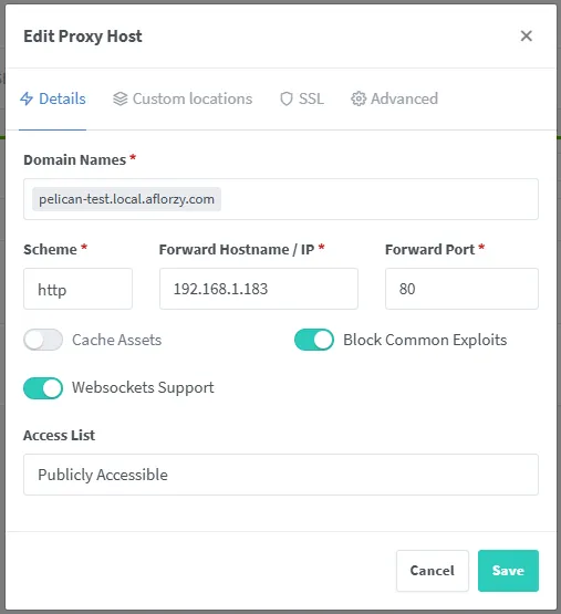 NPM Proxy Host Details